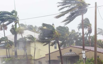 Prepare for Tropical Storm Alberto approaching Texas Coast
